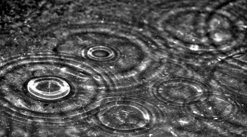 Kalbin Nefse Nidası